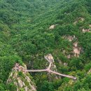 거창 항노화 힐링랜드 이미지