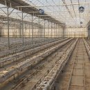 ㈜도화엔지니어링 이미지