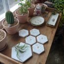 들꽃정원민박 이미지