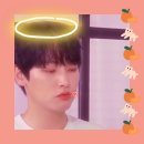 ＜ 🌰🦊 ＞ Doctors Advices 이미지