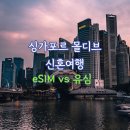바다&슬롯 | 싱가포르 몰디브 신혼여행 이심 vs 유심 비교 사용 후기