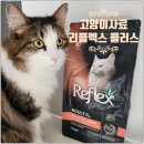 리플렉스 A | 유럽에서 온 고양이사료 펫클럽 리플렉스 플러스 안티헤어볼 연어 1.5kg 기호성 좋아요.