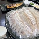 참바다회(독도수산) | 경기 광주 오포 횟집 참바다회독도수산, 싱싱 활어회 전문점
