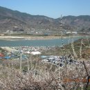 화개농원 이미지