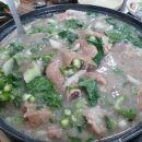 돈본날