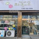 프리펫시티 이미지
