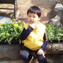 도산동 주민센터 이미지