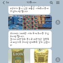[하와이 투어 추천 TOP 3] 렌트 없이도 아쉽지 않은 100% 내돈내산 하와이 투어 후기
