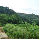 고향풍경 이미지