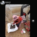 1향기백단심2 향기배달3향기스타4향기자반겹5향기스타6사명 7우아미 8향배달1호 9 향화이트윤1호 10화이트윤2호삽목 고접번식교배종파종 이미지