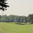 로얄도그 | 태국 아유타야 로얄방파인CC 이용후기🥰