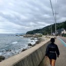 레몬숲어린이집 | 일상 끄적, 10월도 지나가고 벌써 11월이라니