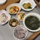 태극권아~ 내 관절을 부탁해 | 양주 그라티아 산후조리원 2주 내돈내산 후기 (마사지, 식사, 신생아 케어, 파라핀, 건식 반신욕)