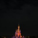 주식회사 스카이팜 | ✈️ 여기는 도쿄, 시부야/도쿄 디즈니랜드