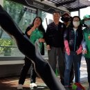 유개형 승강장 이미지