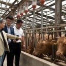 사랑목장 이미지