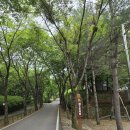 산행길 | [블야100대명산] 가리산 소요시간, 난이도, 주차, 하산푸드