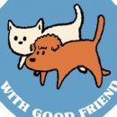 컴투펫 위탁보호센터 서울점 이미지