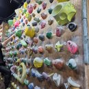 수원-0897 | '화성 클라이밍클럽' 체험 후기｜수원 클라이밍 찐 데이트