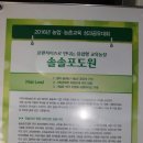 솔솔포도원