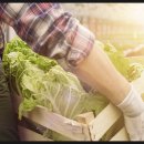 맘마농장 이미지