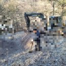 신용수목장 이미지