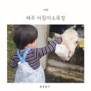 아침목장 | 제주공항 근처 가볼만한곳 아침미소목장 방문후기 우유주기 체험