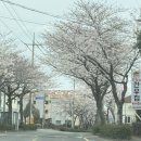 상예동-12 이미지