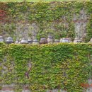 지리산빨치산토벌전시관 이미지