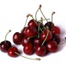 싱싱과일 이미지