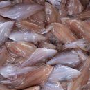 청정해역영덕대게 이미지