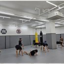 MMA주짓수 이미지