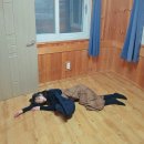 고성2119 | 서귀포숙소 성산 독채펜션 고성2119 위플레이독 애견동반 가성비 끝판왕