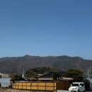 강원도 춘천 감성 애견동반 숙소 추천 ‘스테이고대’ 내돈내산