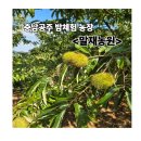 기승농장 | 대전 근교 아이와 갈만한 곳: 충남 공주 밤 줍기 체험농장 &lt;말재 농원&gt; 솔직 후 기