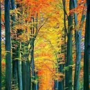 공존(共存) 이미지