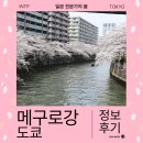 강이 있는 풍경 | 도쿄 메구로강 벚꽃 만개 일시 정보 후기
