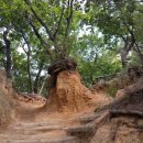 능선길 118 이미지