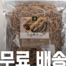 갱이하우스 이미지