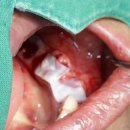 태장고려의원 이미지