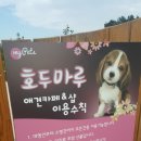 김제호두마루애견카페샵 | 김제카페/ 김제강아지카페 : 호두마루애견카페 &amp; 샵