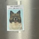 캠프 | 숀리다이어트캠프 후기 2. 합숙다이어트장단점 리얼기록