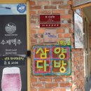 유혹다방