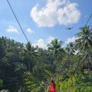 왕궁농장 | 발리 우붓 데이투어 - 우붓스윙 알라스 하룸 발리(Alas Harum Bali), 우붓왕궁(Ubud Palace)