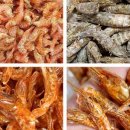 통영참멸치주식회사 네이버블로그