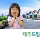 친환경제주드림