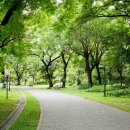 센트럴파크 12 이미지