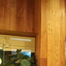 텃밭 운남점 이미지