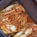 태백고원김치 3kg(내돈내산 솔직후기) | 깔끔한 서울식 김치