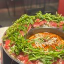 화산중앙로 | 은행동맛집 마라샤브 얼얼하게 맛있었다 &#39;화산샤브&#39; 솔직 리뷰 후기 / 대전 중앙로역 데이트장소 추천